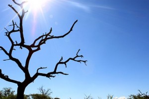was soll ich da sagen? wunderschöner, klarer blauer Himmel!