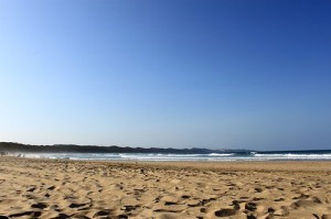 Sodwana Bay - The diver's paradise