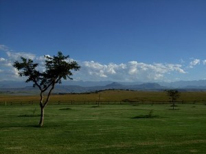 Aussicht auf die Drakensberge ...