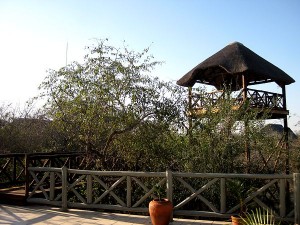 Wunderschön! Die Terasse der Lodge.