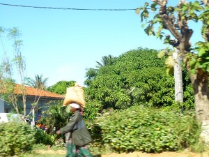 Mozambique