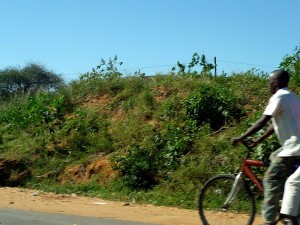 Mozambique