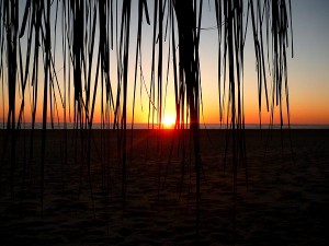 Sonnenaufgang in Tofo